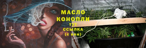 стафф Михайлов