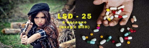 стафф Михайлов