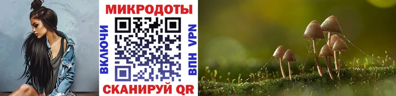 Псилоцибиновые грибы MAGIC MUSHROOMS  Купить где  Ржев 
